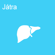 jatra
