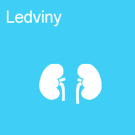 ledviny