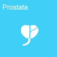prostata
