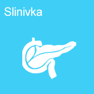 slinivka