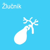 zlucnik